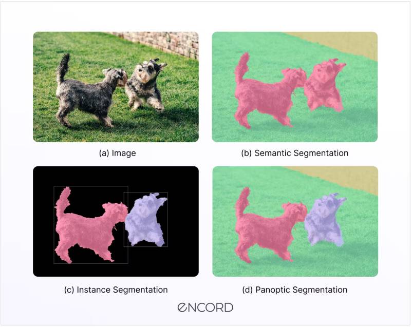 instance segmentation example